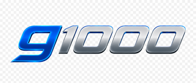 g1000